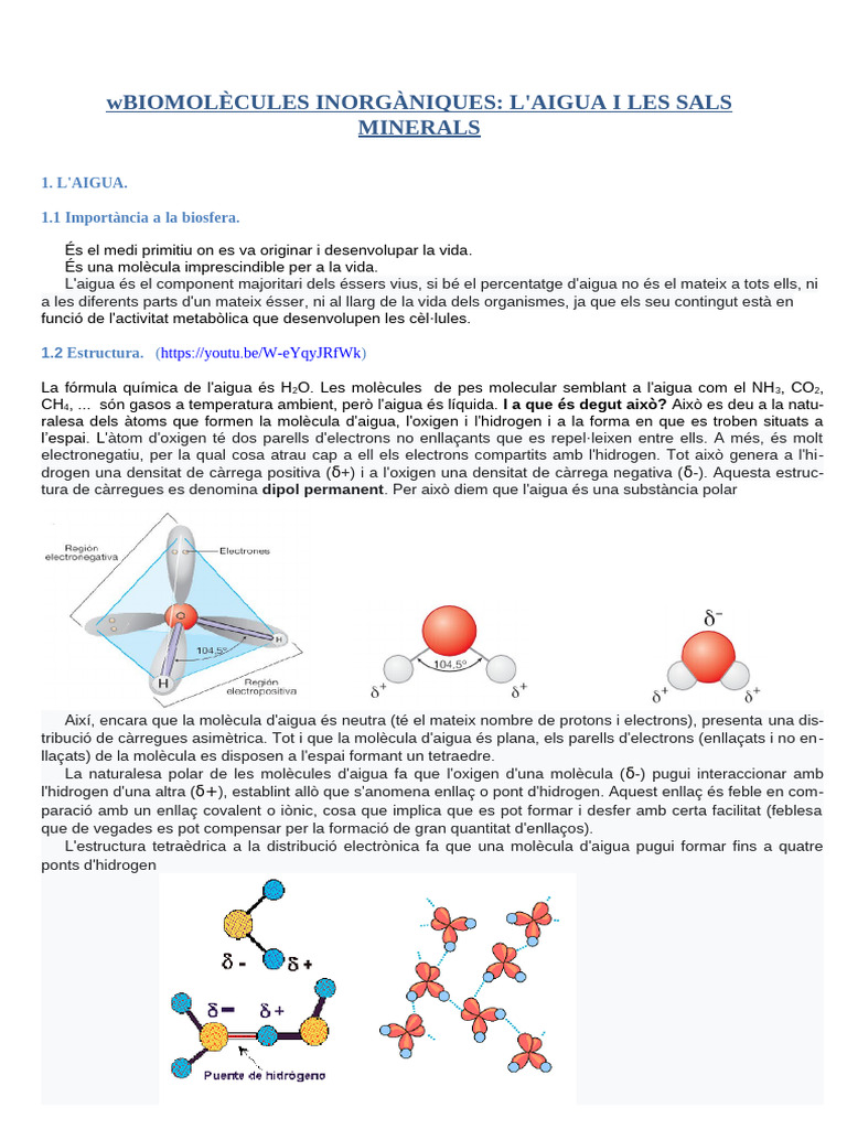 Biomolec Inorg | PDF