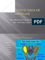 Biotipologia Osea de La Pelvis