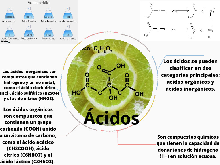 Clasificación de Ácidos: Orgánicos e Inorgánicos | PDF