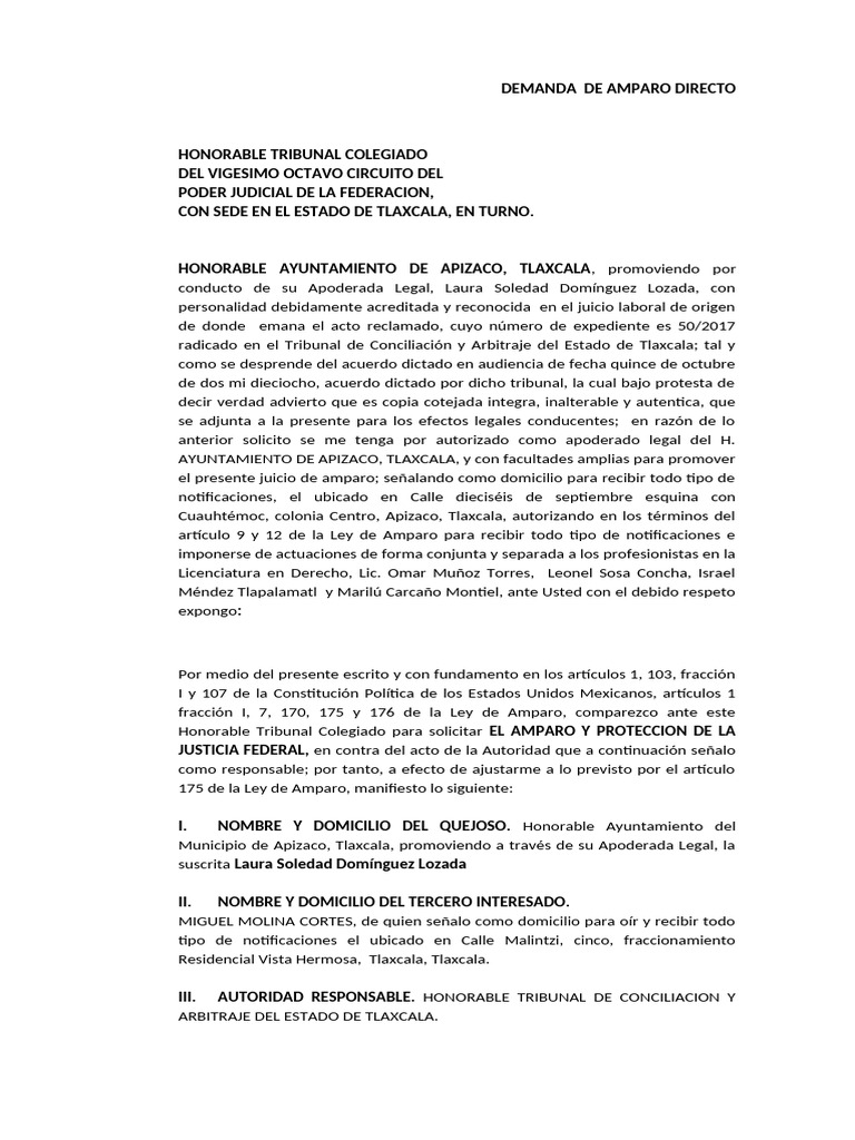 Amparo Directo del Ayuntamiento de Apizaco | PDF | Caso de ley ...