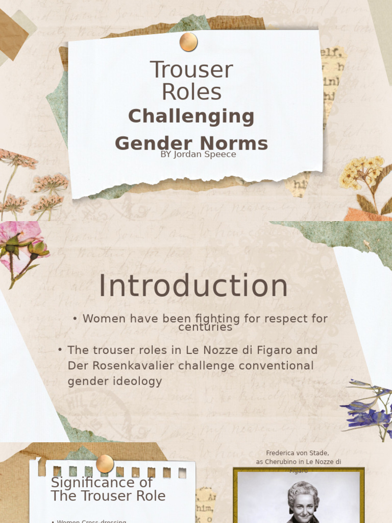 Challenging Gender Norms | PDF | The Marriage Of Figaro | Opera