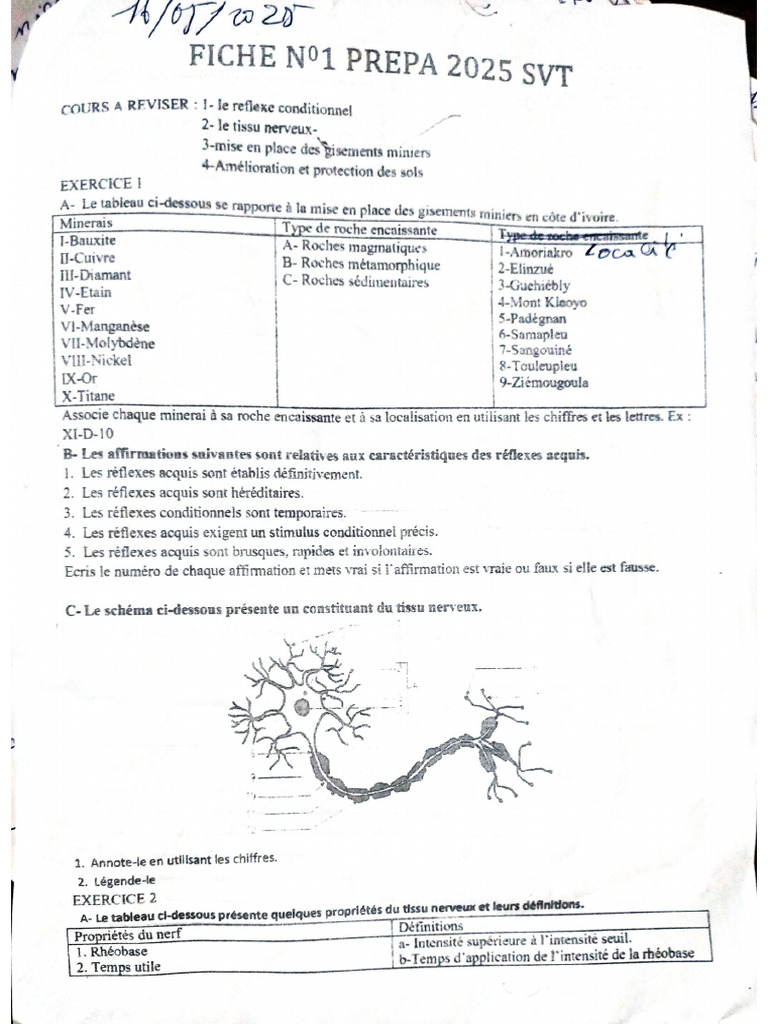 Document 21 | PDF