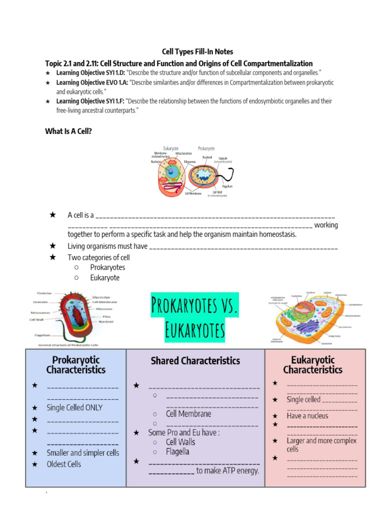 Cell Structure and Function Overview | PDF | Cell (Biology) | Organelle