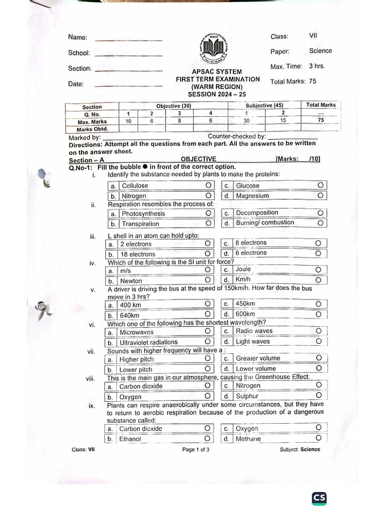 Class 7 First Term | PDF