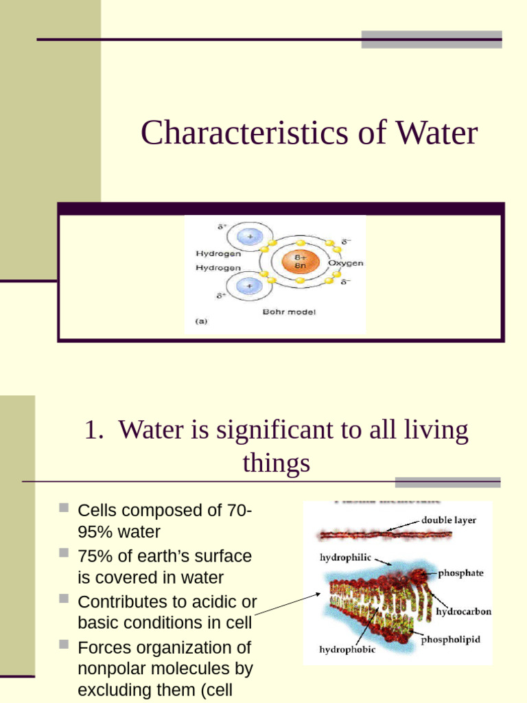 Key Characteristics of Water Explained | PDF | Water | Hydroxide