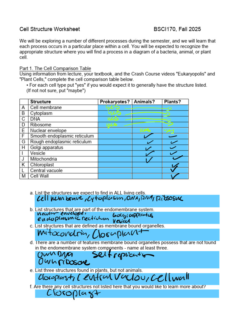 WS1 +Cell+Structure+Worksheet+Fillable | PDF
