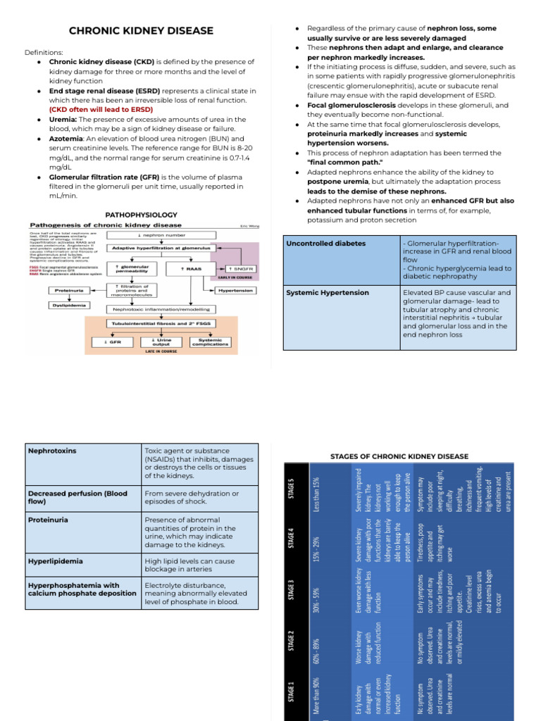 CHRONIC KIDNEY DISEASE | PDF | Chronic Kidney Disease | Kidney