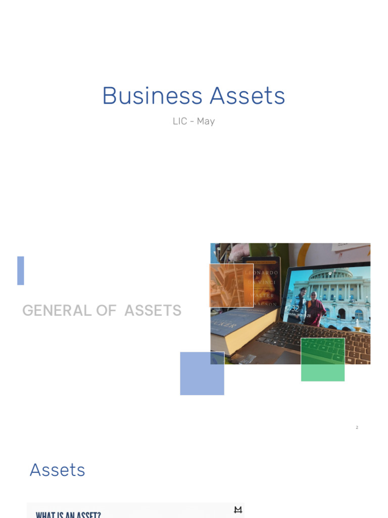 Business Assets | PDF