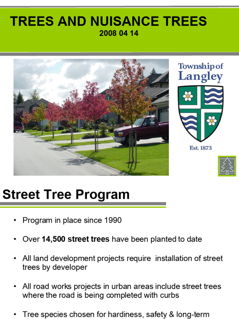 Street Tree Program and Nuisance Management | PDF | Trees | Horticulture
