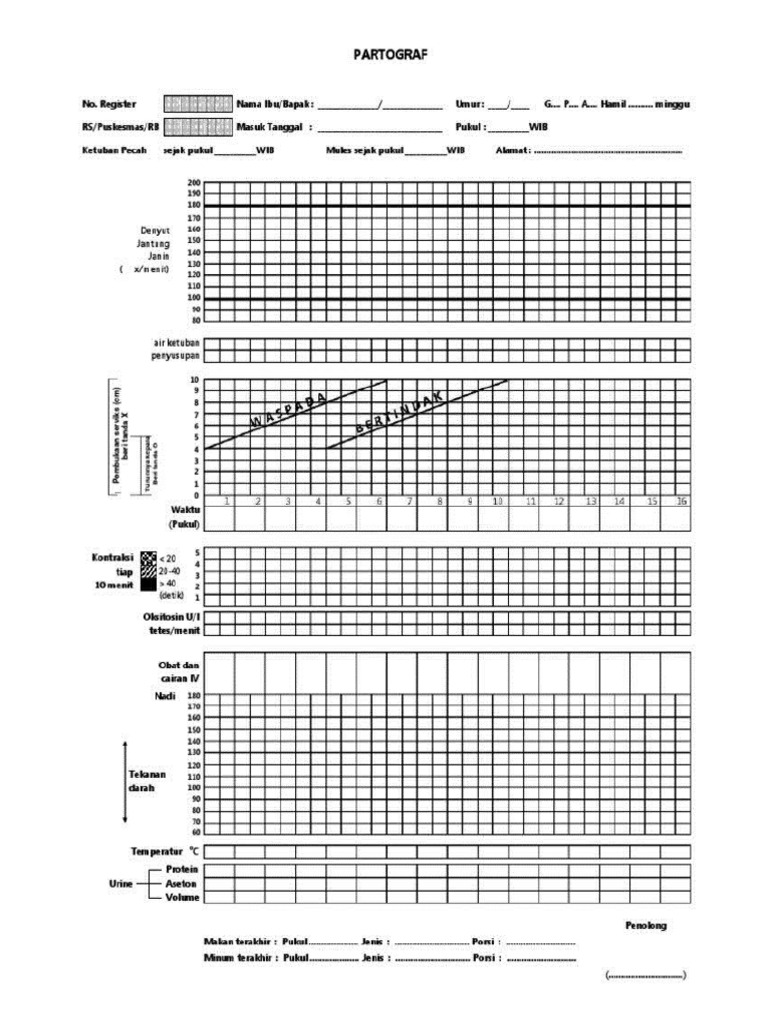 PARTOGRAF | PDF