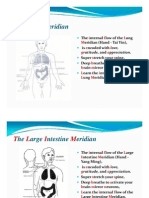 Meridian Flow Guide - Lung to Liver Meridians