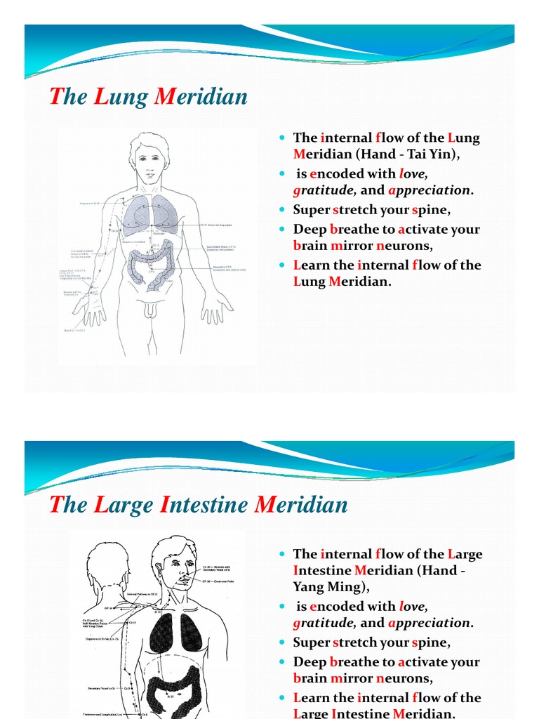 Understanding the 12 Body Meridians | PDF | Meridian (Chinese Medicine ...