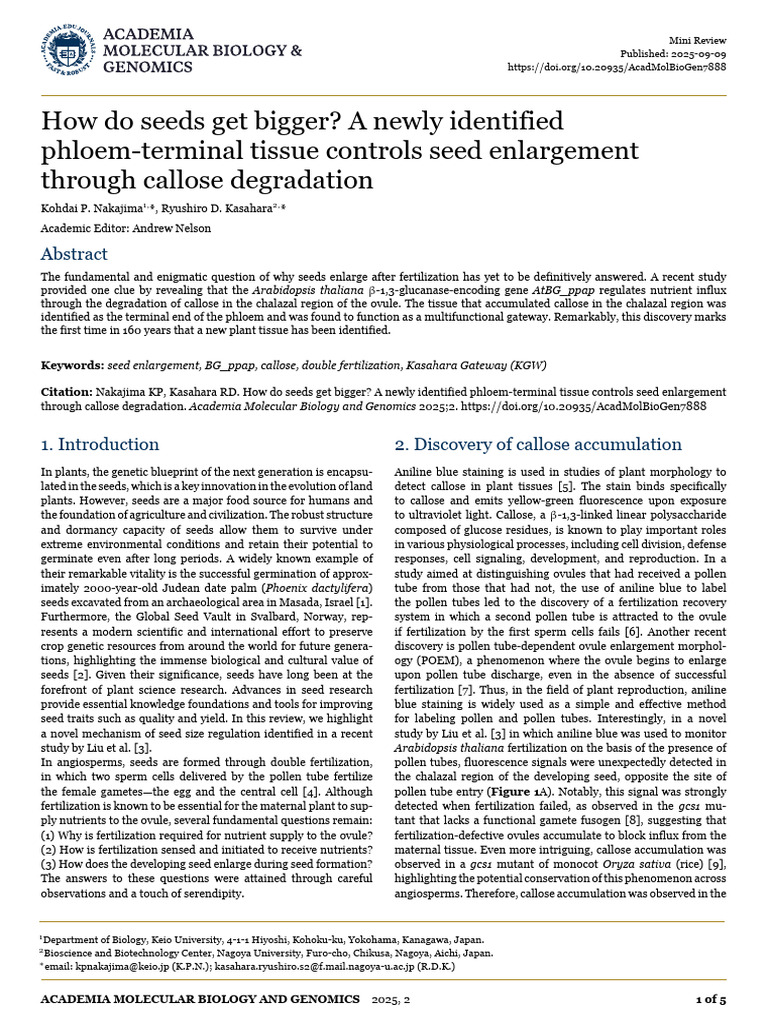 Phloem Tissue's Role in Seed Growth | PDF | Fertilisation | Seed