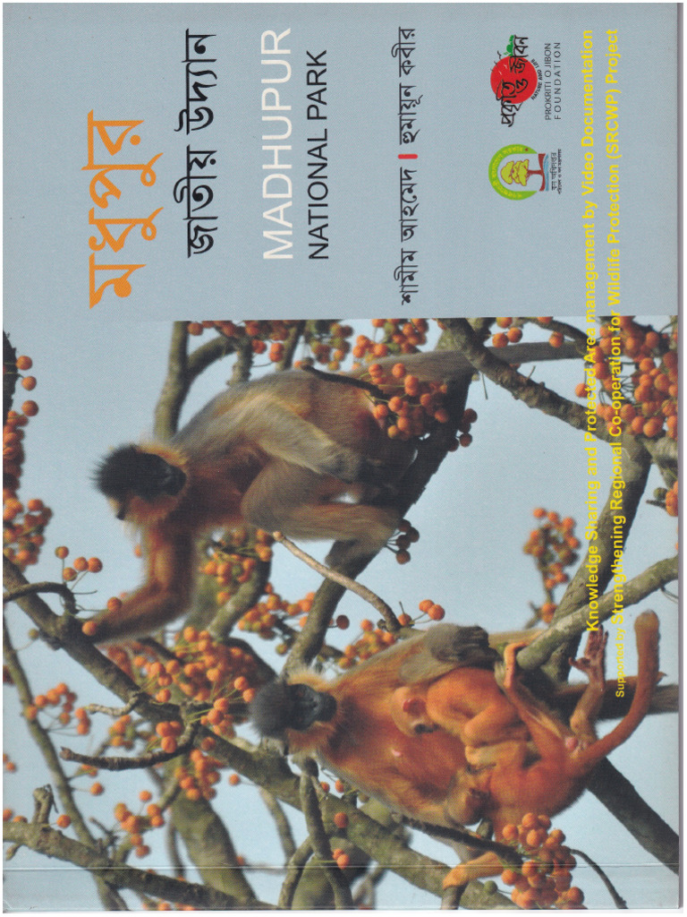 Modhupur Eco Park | PDF