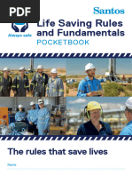 SGS Workplace Safety Rules Guide | PDF