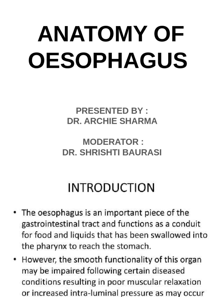Anatomy of Oesophagus (Dr. Archie) | PDF