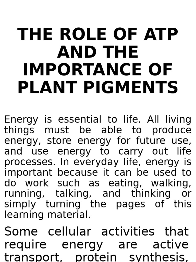 ATP and Plant Pigments Explained | PDF | Adenosine Triphosphate ...