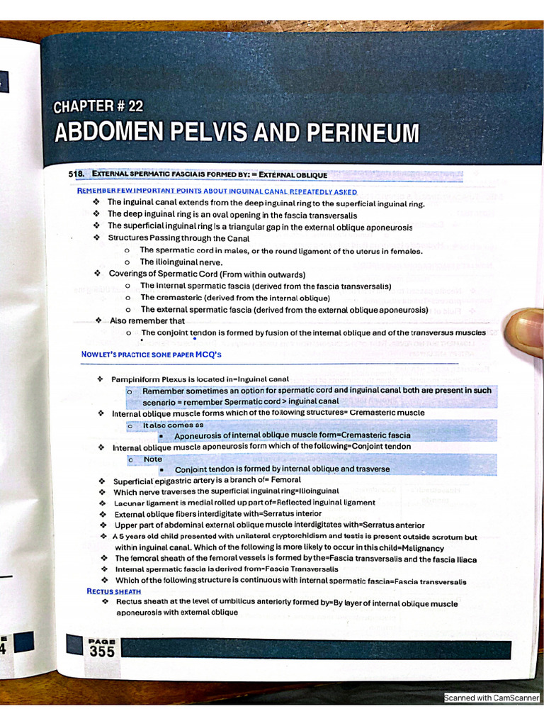 Rafi Abdomen and Pelvic | PDF