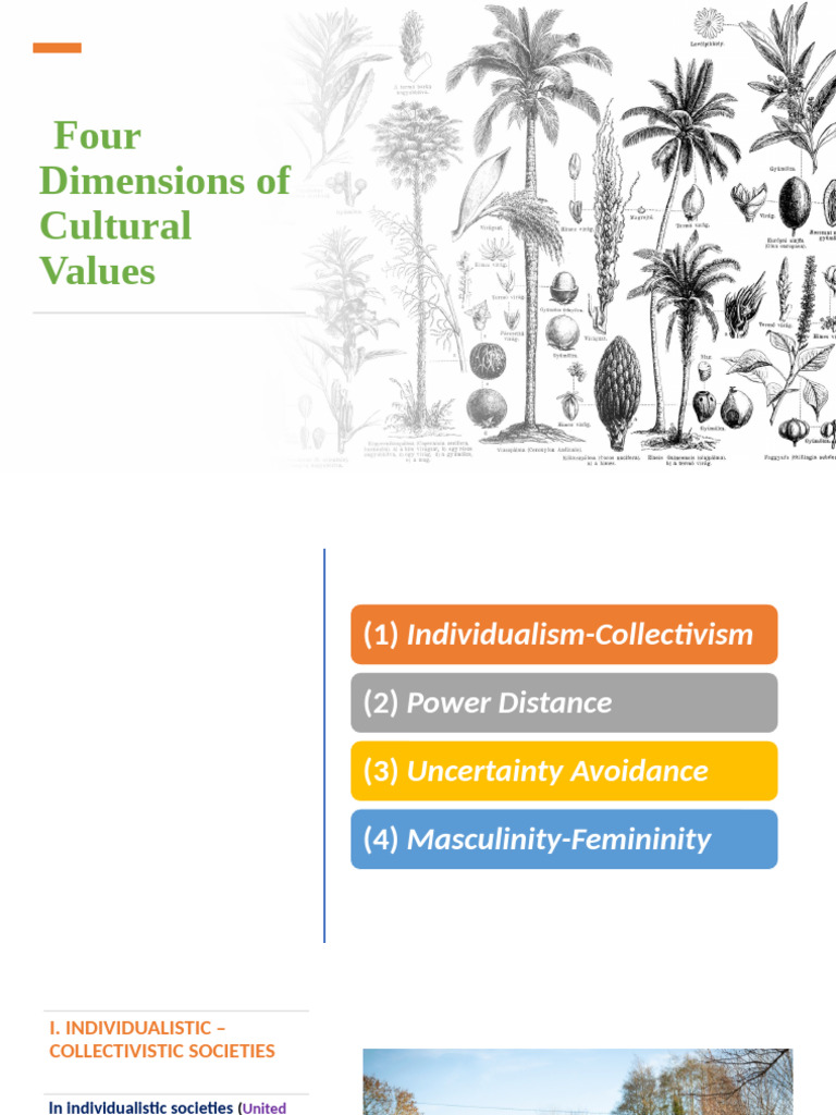Understanding Cultural Values Dimensions | PDF | Prejudices | Stereotypes