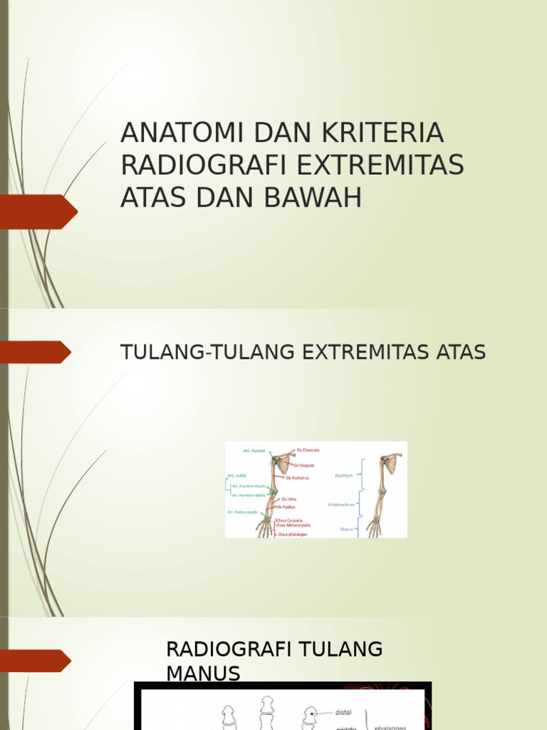 Kriteria Radiografi Extremitas Atas-Bawah | PDF