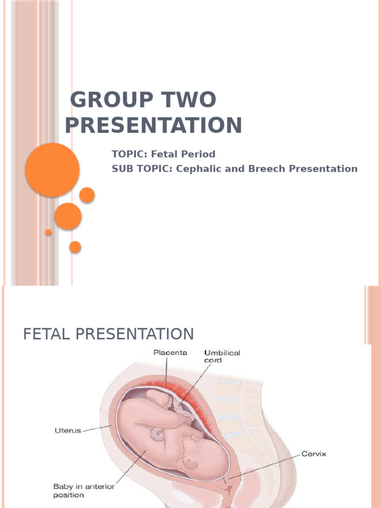 Group Two Presentation 2 | PDF