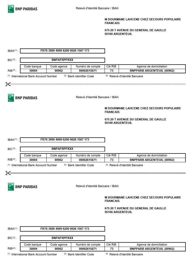 RIB et IBAN : Informations Bancaires Essentielles | PDF | Paiements ...