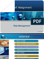 Risk Management 1