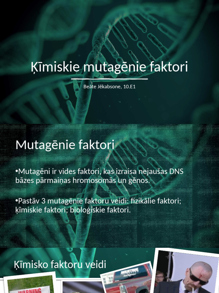 Ķīmiskie Mutagēnie Faktori-2 | PDF