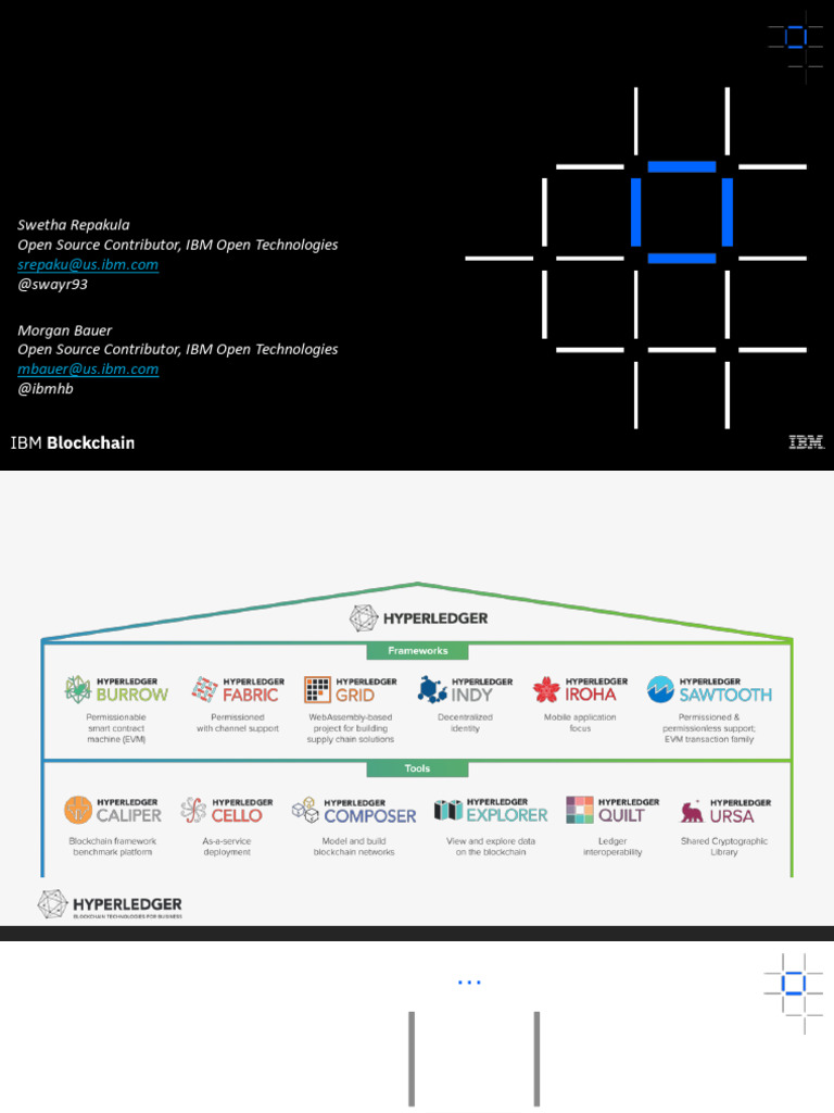 IBM Hyperledger Fabric Overview | PDF | Computer Science | Computer ...
