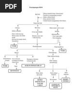 PKDM Tumor Buli-Buli