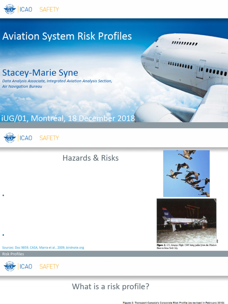 Aviation Risk Profiles and Indicators | PDF | Risk | Safety
