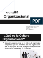 Cultura Organizacional