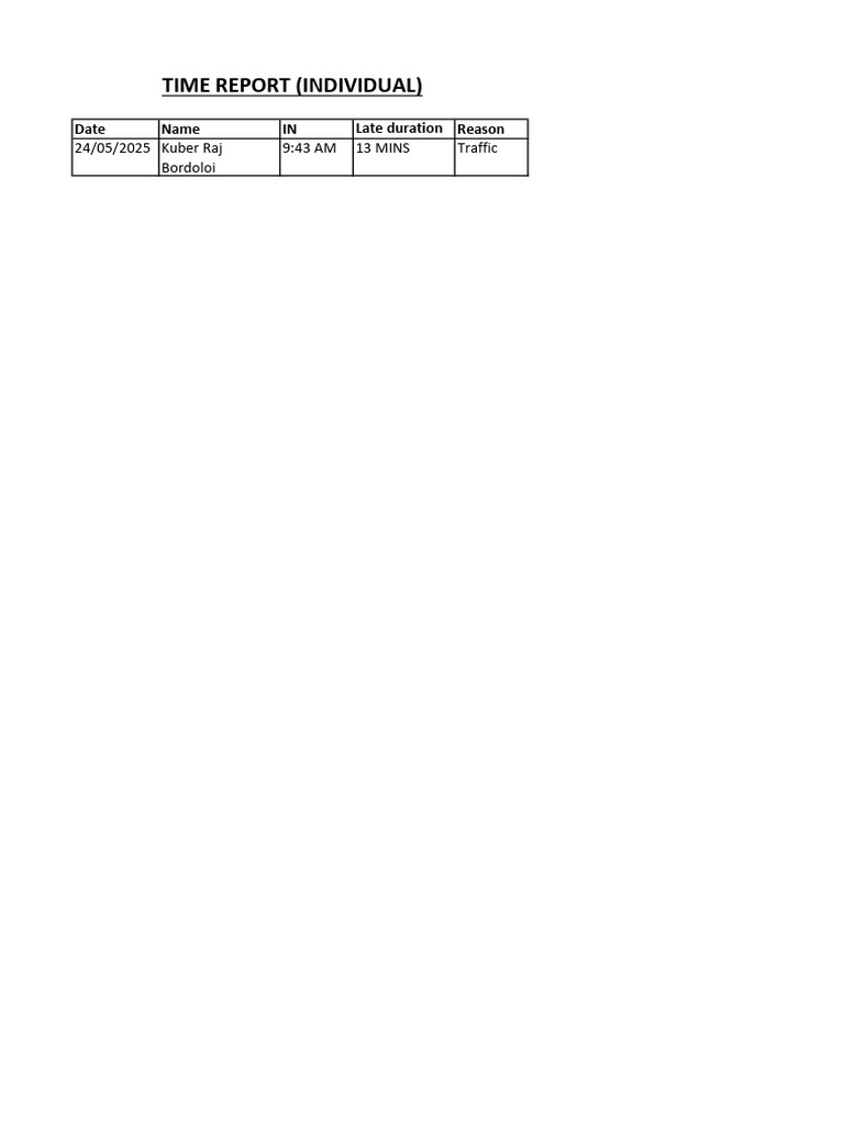 Individual Time Report for 24/05/2025 | PDF