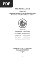 Download mekanisme laktasi kel 4 by Midunt William Oetami SN94283364 doc pdf