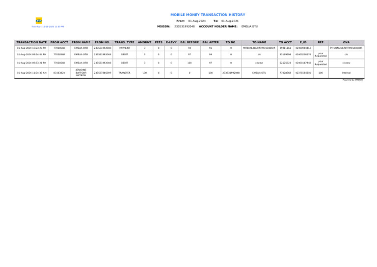 Momo Statement Report | PDF | Debit Card | Banking Technology