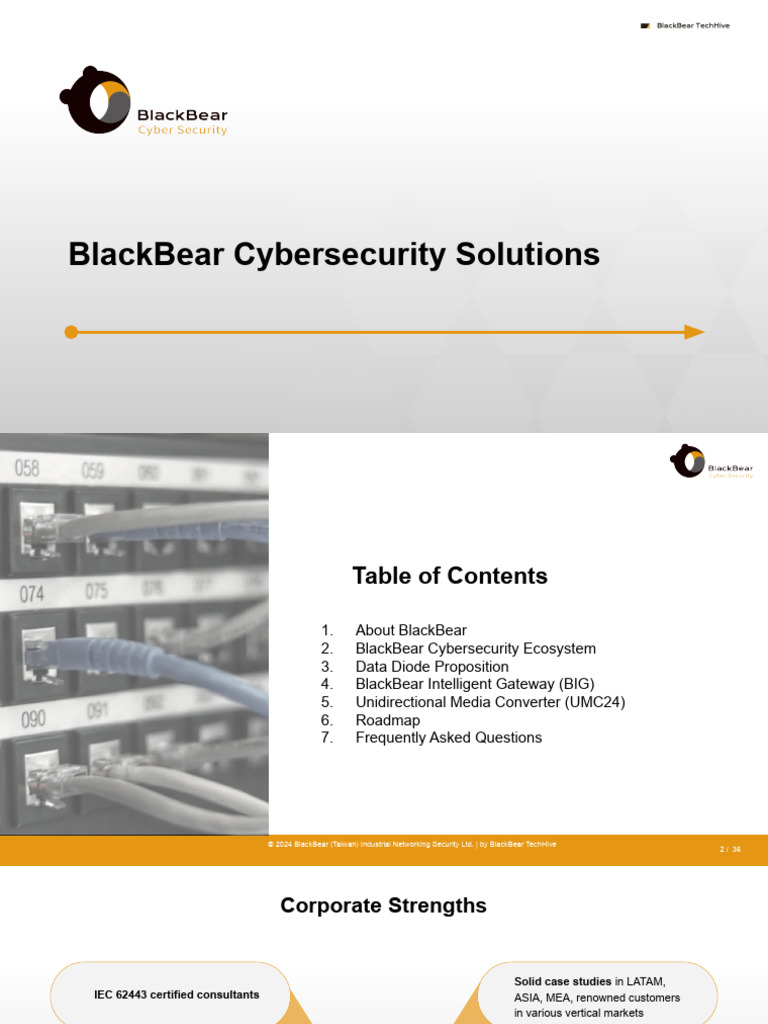 BlackBear Cybersecurity Solutions Overview | PDF | Computer Network ...
