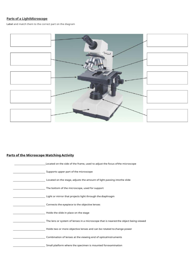 Light Microscope Parts Activity | PDF