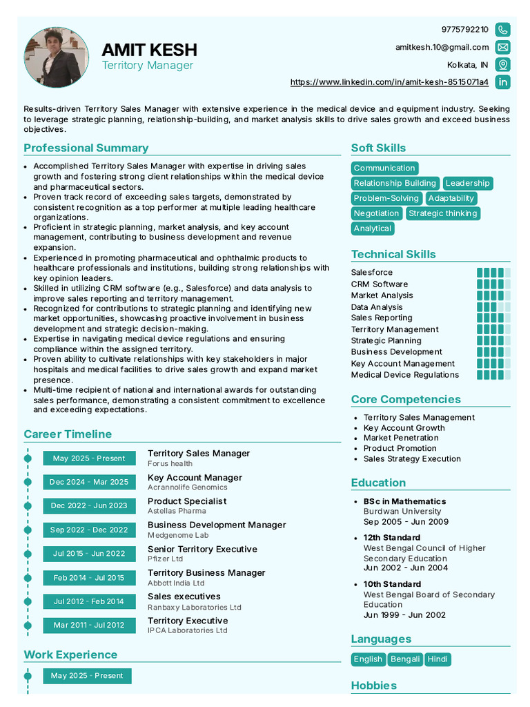 Territory Sales Manager Profile: Skills & Experience | PDF | Sales ...