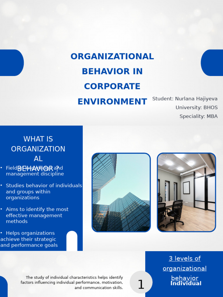 Understanding Organizational Behavior | PDF | Leadership | Well Being