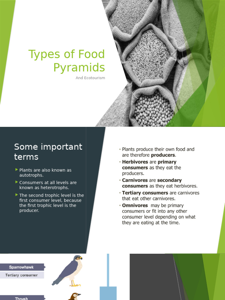 Understanding Food Pyramids and Ecotourism | PDF | Food Web | Biomass ...