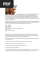 Download Tanaman pinang by aurora_tasman6620 SN94292246 doc pdf