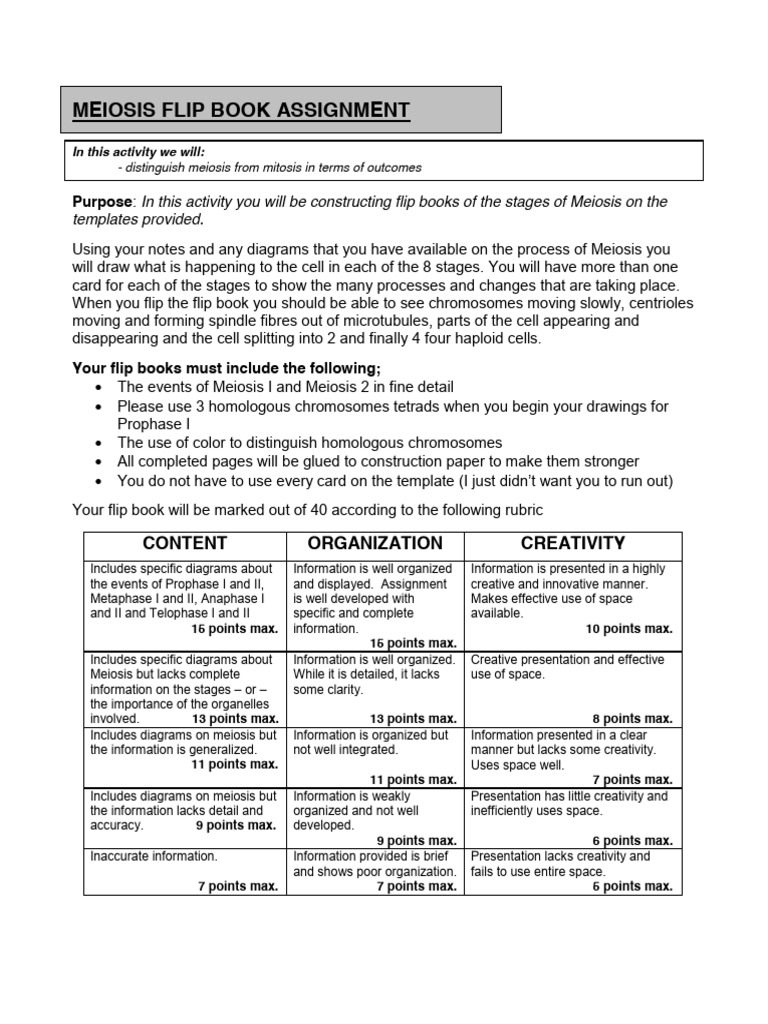 Meiosis Flip Book Assignment Guide | PDF | Meiosis | Mitosis