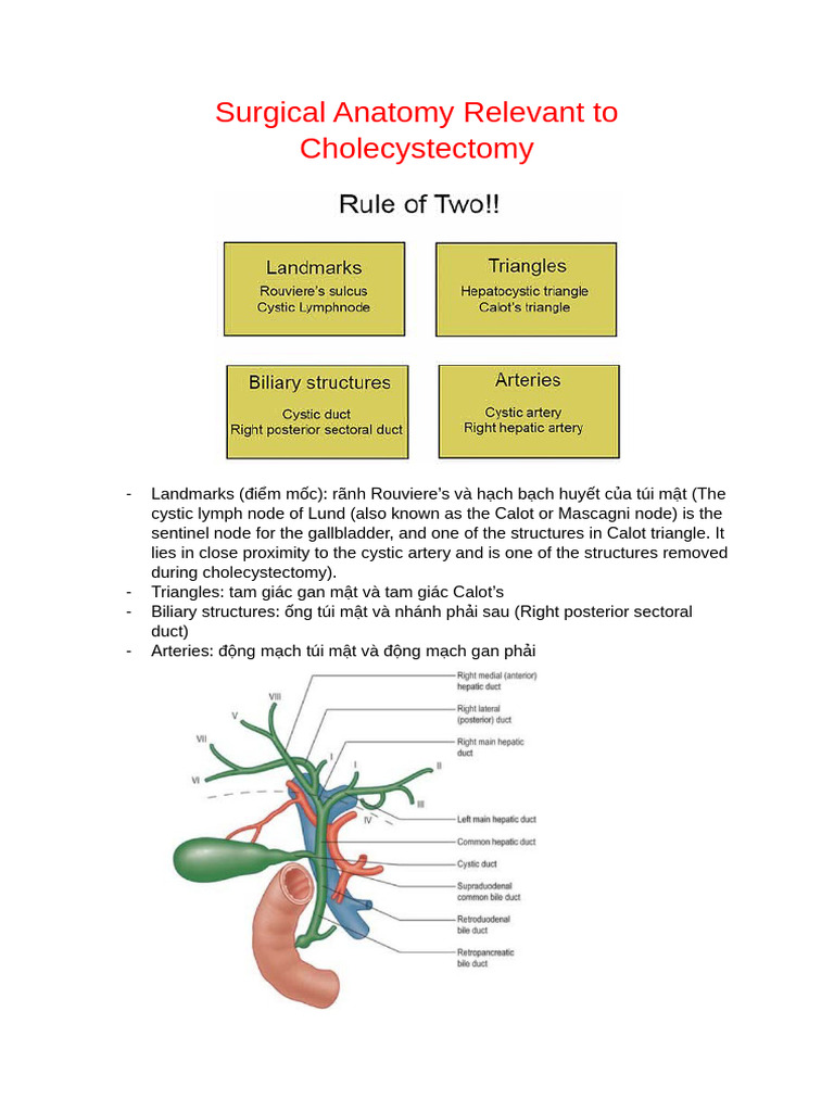 Chapter 3 - Surgical Anatomy Relevant To Cholecystectomy | PDF