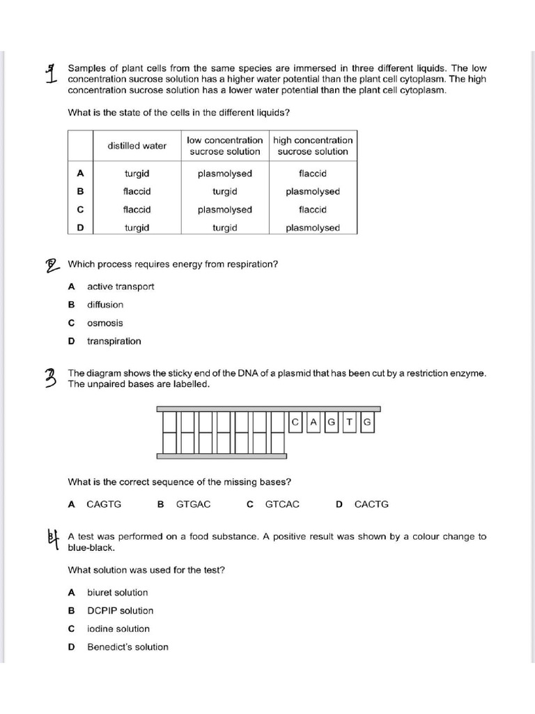 Bio p2 Unit 3 4 5 | PDF