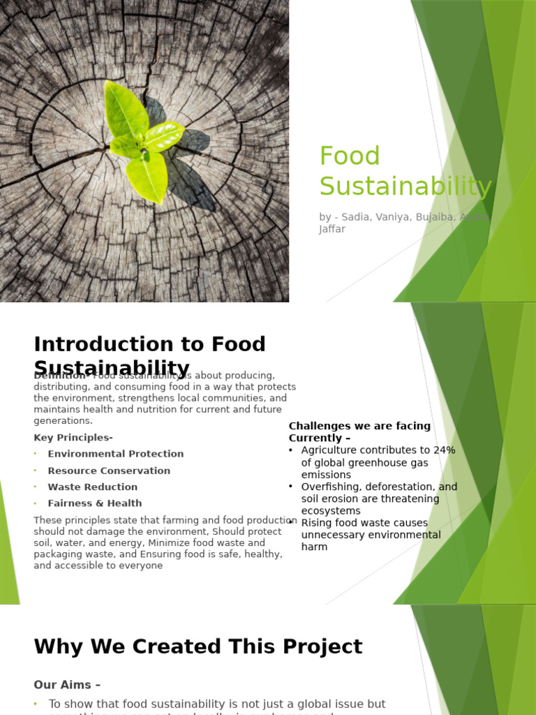 Understanding Food Sustainability | PDF | Sustainability | Waste