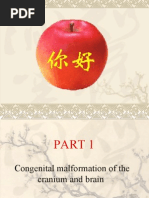 Download Congenital Malformation of the Cranium and Brain by dinman_rituraj1683 SN9429414 doc pdf