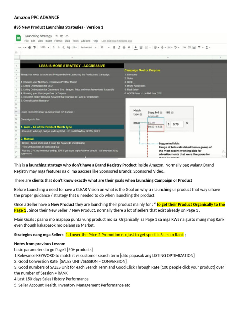 Amazon PPC Launch Strategy Guide | PDF | Search Engine Optimization ...