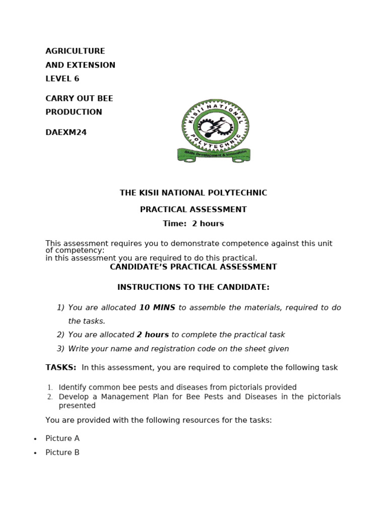 Bee Production Practical Assessment Guide | PDF