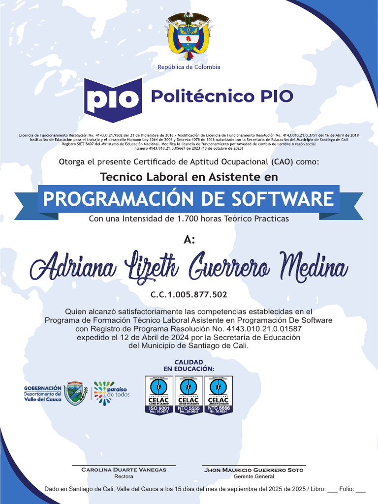 Certificación en Asistente de Programación | PDF