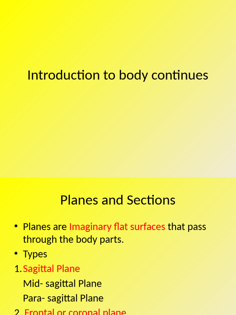 Body Planes, Cavities, and Sections | PDF | Abdomen | Vertebra